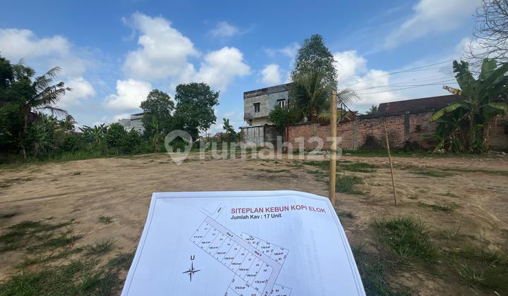 Strategic Coffee Plantation Land for Sale, Jambi City - Limited Units
