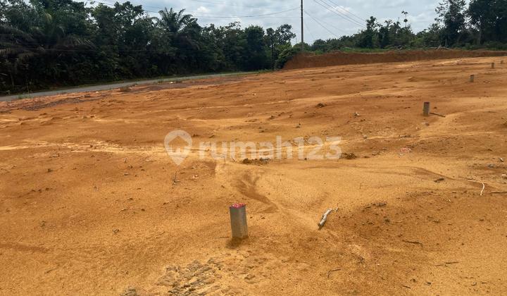 Miliki Tanah Murah Lokasi Sengeti, Muaro Jambi