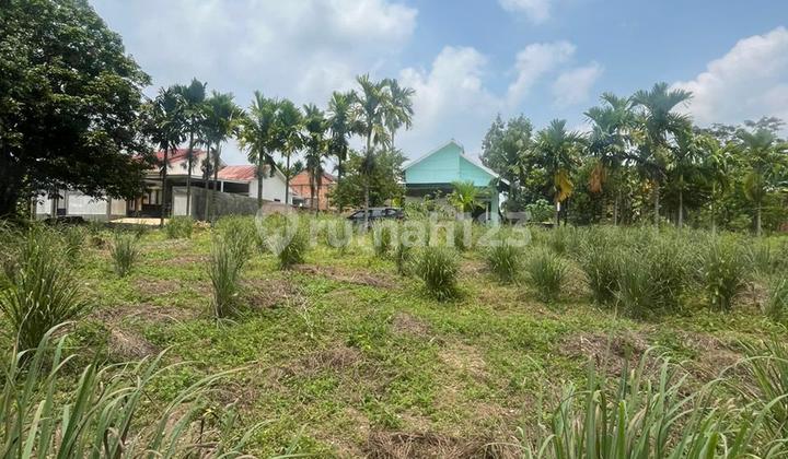 Miliki Tanah Lokasi Strategis di Bagan Pete Kota Jambi