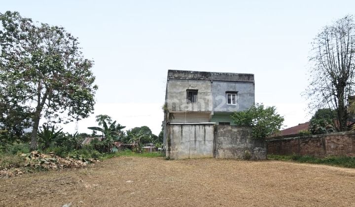 Cheap Sale of Coffee Plantation Land in Jambi City