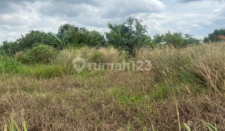 Dijual Tanah Murah Lokasi Simpang Rimbo, Kota Jambi Dijual Tanah Murah Lokasi Simpang Rimbo, Kota Jambi