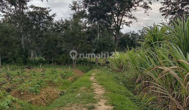 Dijual Tanah Strategis Lokasi Mayang Puskes 1