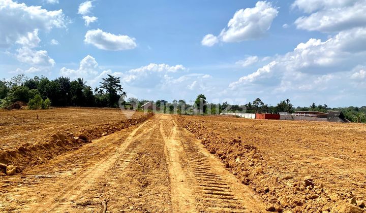 Jual Tanah Siap Bangun Lokasi Kebun 9, Muaro Jambi Jual Tanah Siap Bangun Lokasi Kebun 9, Muaro Jambi