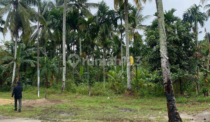 Miliki Tanah Strategis Dekat SMA Unggul Sakti 2