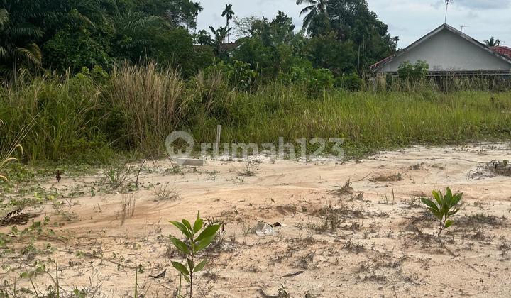 Di Jual Tanah SHM Ready Lokasi Jelutung, Kota Jambi Di Jual Tanah SHM Ready Lokasi Jelutung, Kota Jambi