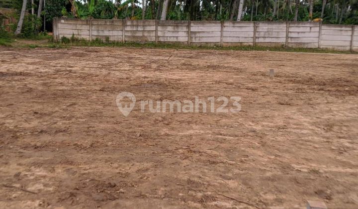 Di Jual Tanah Siap Bangun Asparagus, Kota Jambi