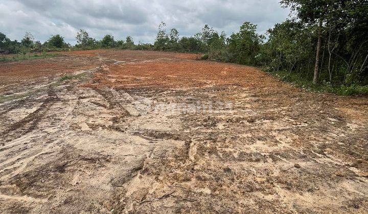 Tanah murah lokasi belakang kamous UIN mendalo 2