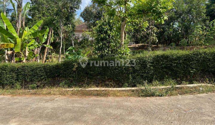 Dijual Tanah Area Ramai Lingkungan Lokasi Talang Bakung 1