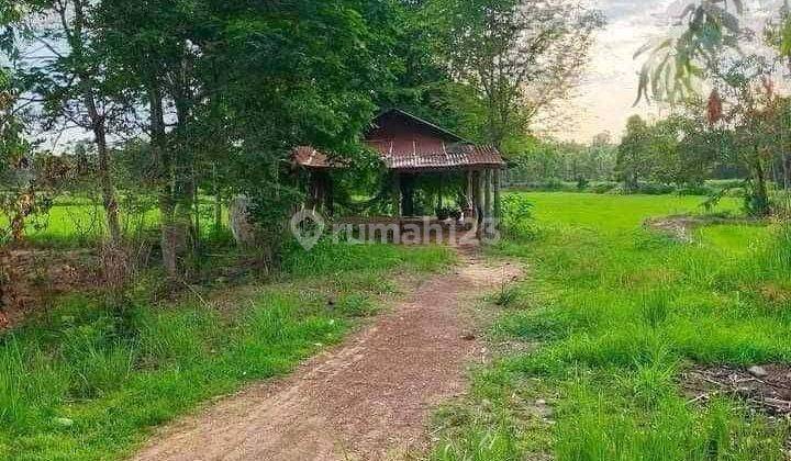 Dijual Tanah Strategis Lokasi Mayang Puskes 2