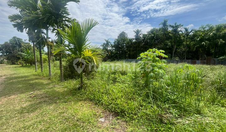 Land for Sale, Bagan Pete, Jambi City