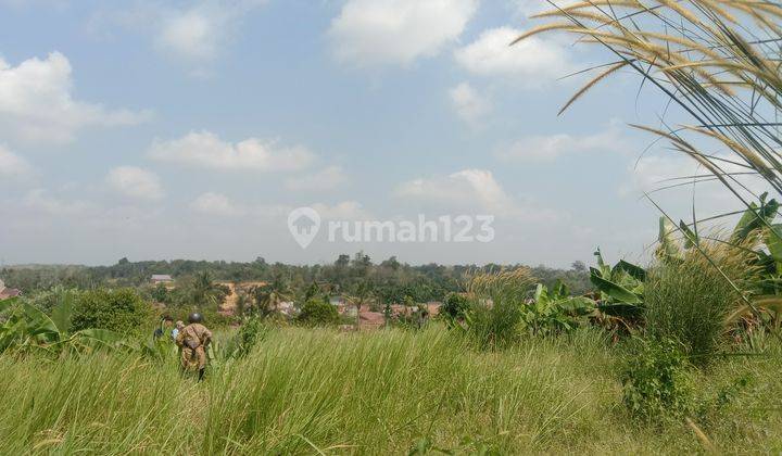 Dijual Tanah Strategis Lokasi Simpang Rimbo 2