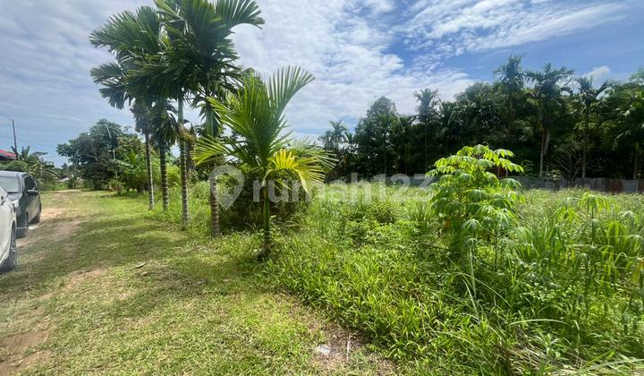 Jual Cepat Tanah Murah Bagan Pete, Kota Jambi Jual Cepat Tanah Murah Bagan Pete, Kota Jambi