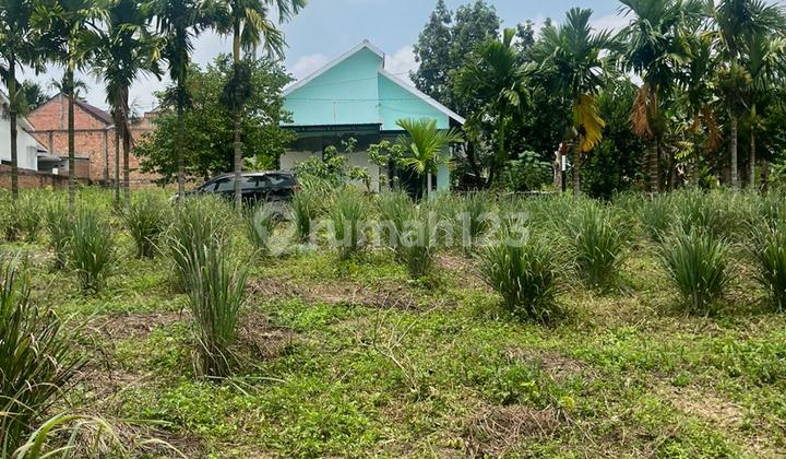 Miliki Tanah Lokasi Strategis di Bagan Pete Kota Jambi
