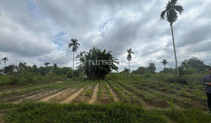 Segera miliki tanah strategis lokasi bagan pete 2