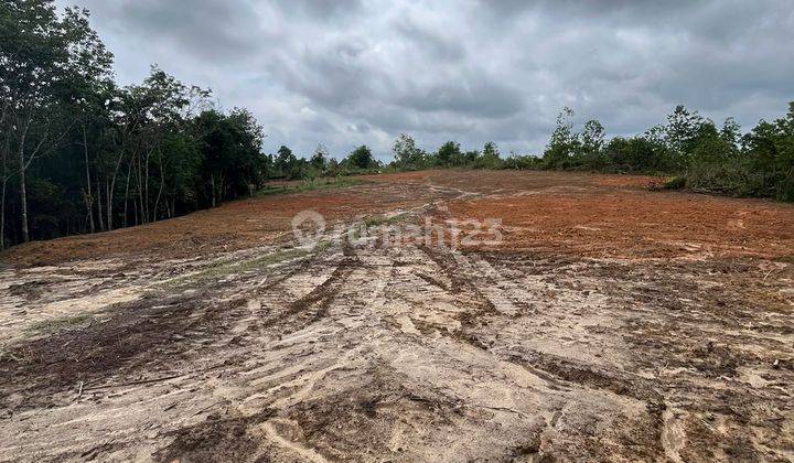 Dijual Tanah Murah Lokasi Mendalo Belakang Kampus Uin 1