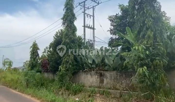 Miliki Tanah Murah Lokasi Mayang Mangurai, Kota Jambi Miliki Tanah Murah Lokasi Mayang Mangurai, Kota Jambi
