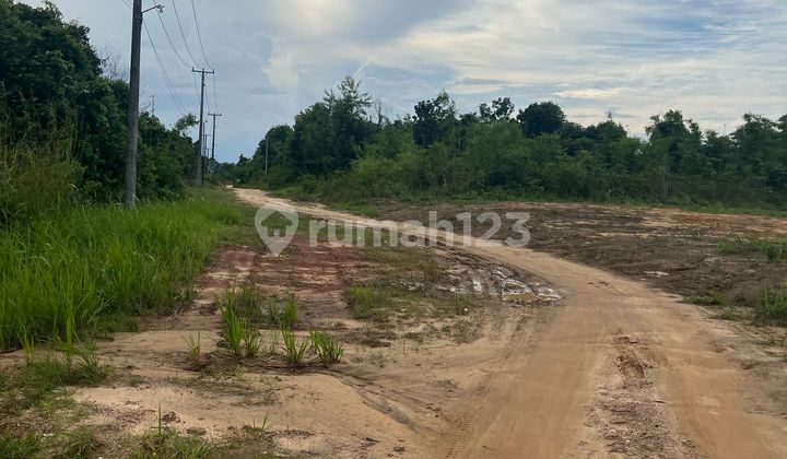 Segera Miliki Tanah Murah Lokasi Mendalo, Muaro Jambi Segera Miliki Tanah Murah Lokasi Mendalo, Muaro Jambi