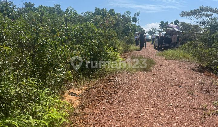 Miliki Tanah Murah Cocok Untuk Investasi Mayang Ujung, Kota Jambi
