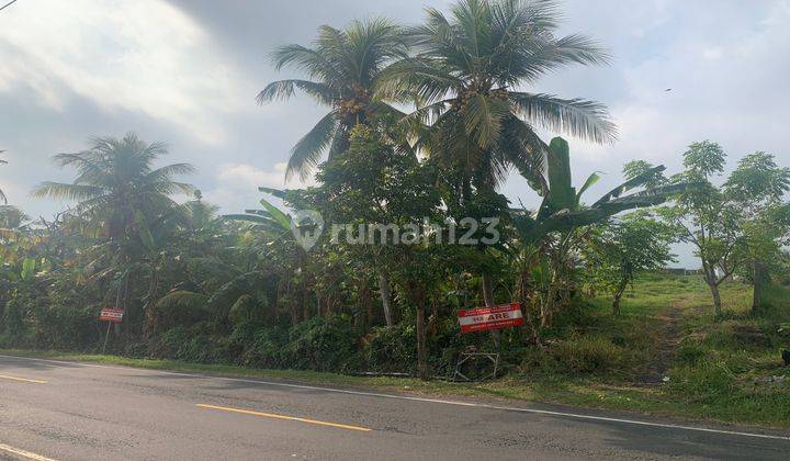 Buc Tanah View Beach 37.5 Are at Selabih Beach, Tabanan 1