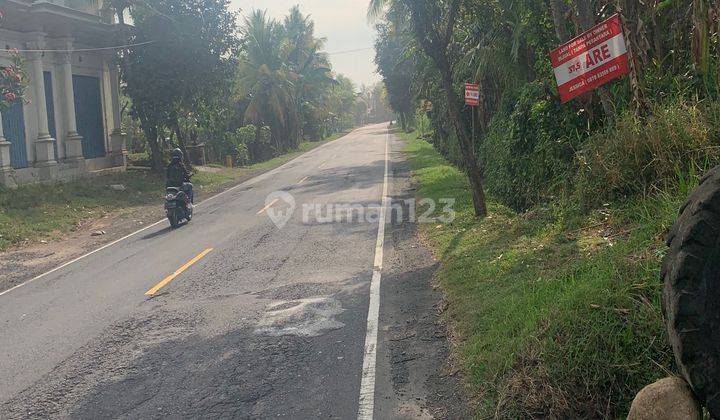 Buc Tanah View Pantai 37,5 Are di Pantai Selabih, Tabanan 2