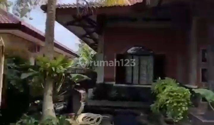 Rumah Asri & Kolam Renang 16×8 Strategis 2