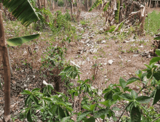 Tanah Lahan Siap Olah Di Kp Pabuaran Cimuning S7840 1