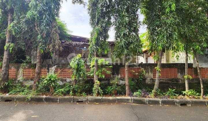 Rumah Tua Hitung Tanah Di Cempaka Putih S8657 2