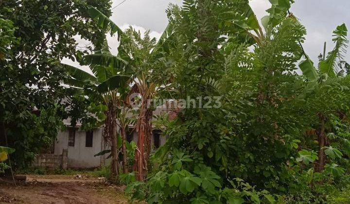 Turun Harga, Jual Tanah Murah Di dekat  Perumahan  Batara  dan Stasiun  Cikoya Tangerang 1