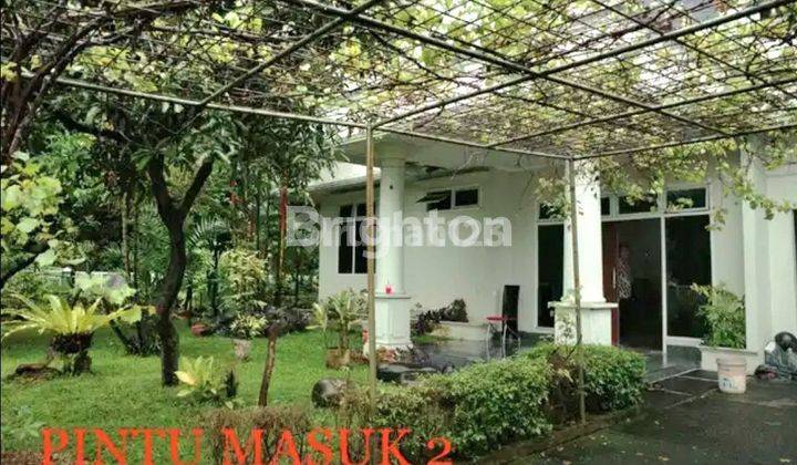 DISEWAKAN RUMAH COCOK UNTUK TEMPAT USAHA DI PUSAT KOTA DADALI BOGOR  2