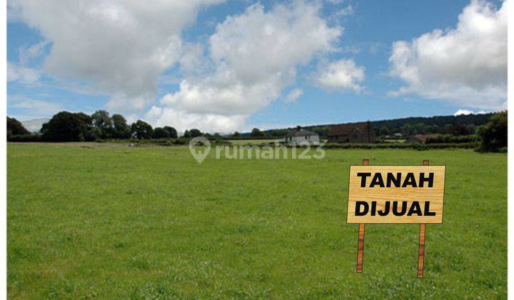 Tanah 2,5Ha di Bojonglopang, Jampang Tengah, Sukabumi Dijual MURAH! 1