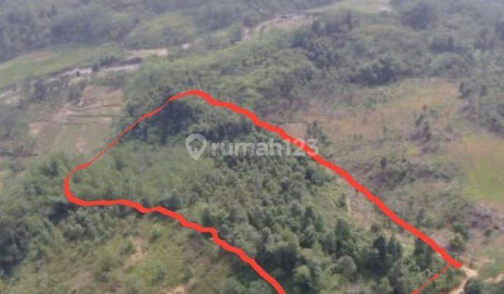 BUAT INVEST! Tanah Hutan di Suka Makmur Bogor dijual HARGA BAGUS! 1