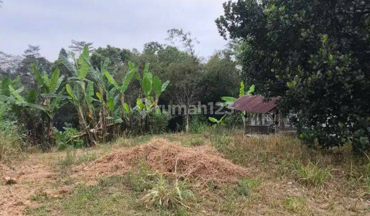 Termurah! Tanah Langka Jarang Ada Di Sukabumi Lokasi Strategis 1