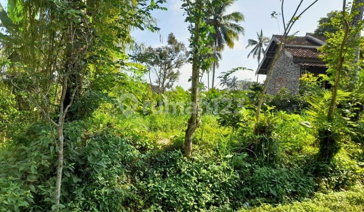 Rumah LT 1294 M2 Di Turi Hanya 300 M Ke Pasar Balerante 2
