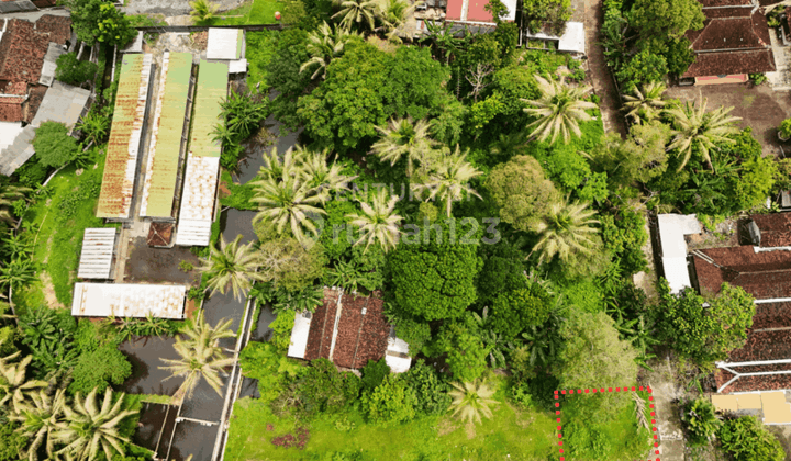 Tanah Hoek Dengan Luas 134 M2 Di Turi Cocok Untuk Dibangun Hunian 1
