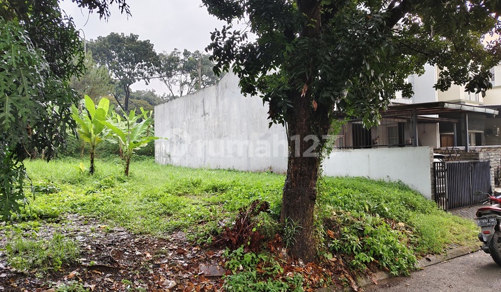 Dijual Tanah Kavling BSD City Lama 260 Meter AJB Hadap Timur Laut Dijual Tanah Kavling BSD City Lama 260 Meter AJB Hadap Timur Laut