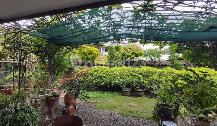 Di Jual Rumah Taman 2 Lantai Bagus Di S Parman 1