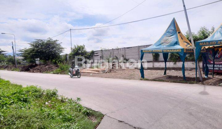 TANAH KOSONG SUDAH PAGAR TEMBOK KELILING 2