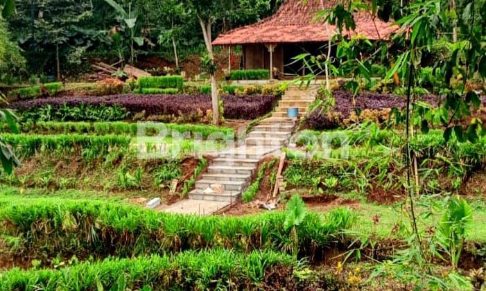 TANAH UNTUK HOTEL , PARIWISATA DLL TANAH UNTUK HOTEL , PARIWISATA DLL