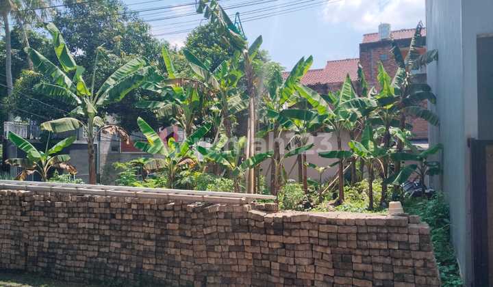 Cheap Land Sale. Housing Complex Barat0.