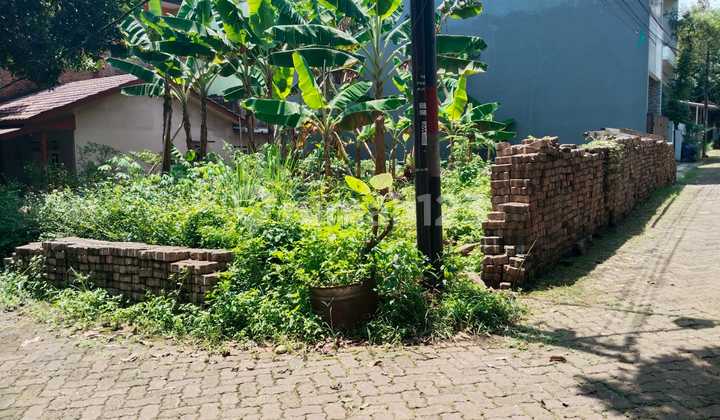 Cheap Land Sale. Housing Complex Barat0.