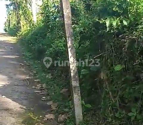 Land in a strategic location suitable for building a villa in Tabanan S7711 1