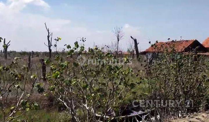 Tanah Pertanian Di Desa Limbangan Pemalang S7909 1