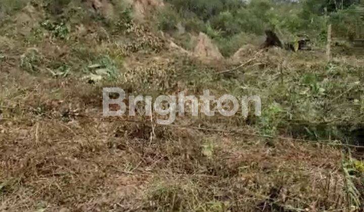 TANAH KAVLING MURAH DI MUGiREJO LUBUK SAWAH  1