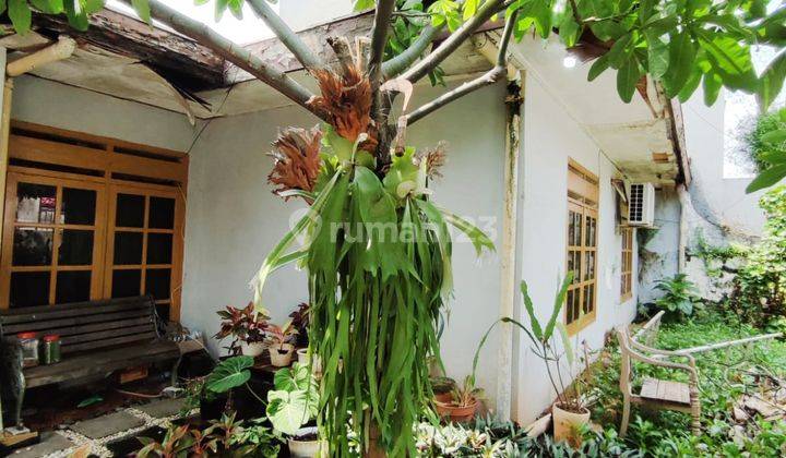 Rumah Bagus Di Jl Cilandak Barat Jakarta Selatan 2