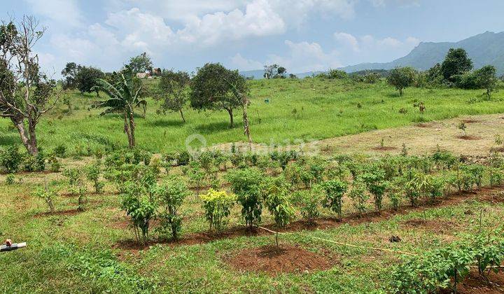 Kavling Siap Bangun Di Kiara Farm, Kebon Duren, Bantar Kalong Sukabumi 1