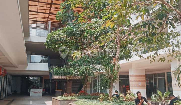 Ready-to-Occupy Apartment at Apart Tree Park BSD South Tangerang Ready-to-Occupy Apartment at Apart Tree Park BSD South Tangerang