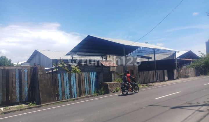 Dijual Tanah 10 Are Shm Dekat Sekolah Bali Kiddy 