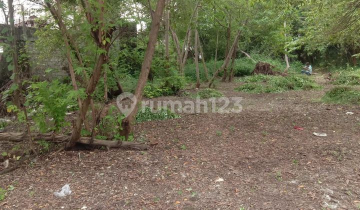 Dijual/disewakan Tanah 16 Are Di Jl Teuku Umar Barat