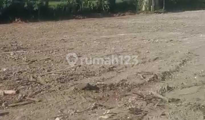 For Sale: Former Pig Farm Land Near Bedugul