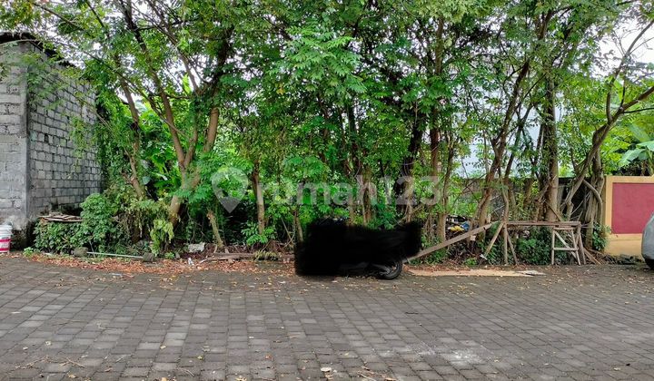 Dijual Tanah 3 Are Hadap Barat Di Penamparan